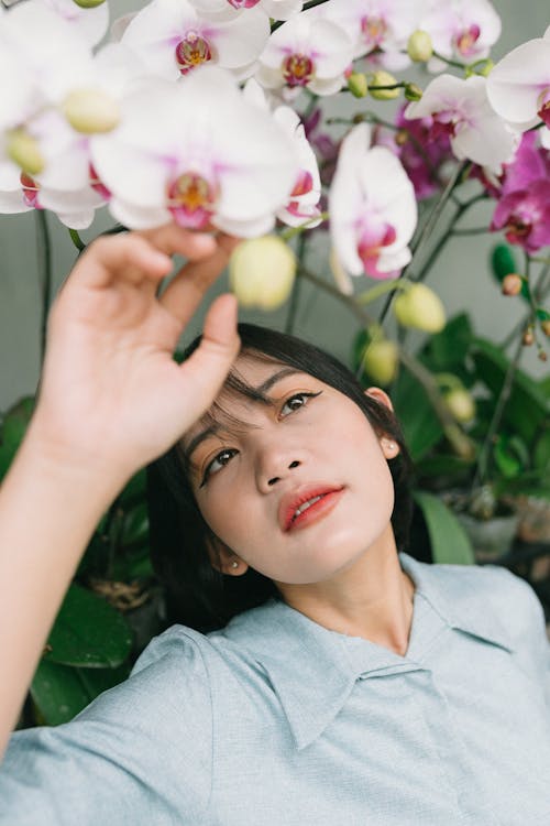 Imagine de stoc gratuită din cămașă gri, femeie asiatică, floră