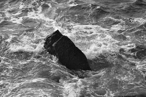 Grayscale Photo of Water Crashing on a Rock 