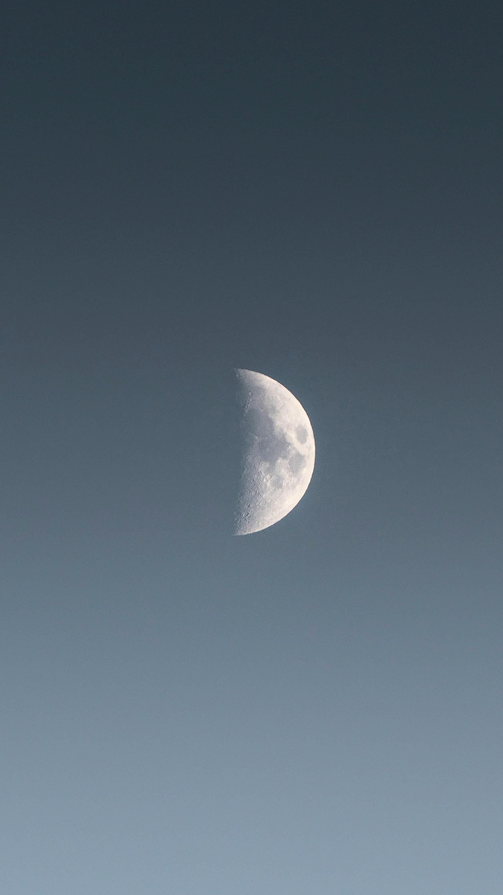 Half Moon in the Sky · Free Stock Photo