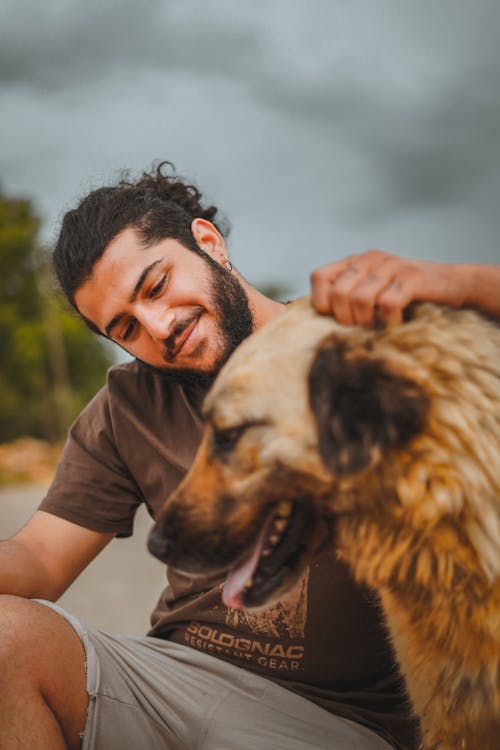 Foto stok gratis anjing, baju cokelat, berjanggut