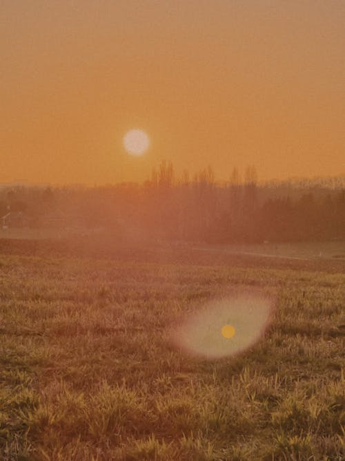 Darmowe zdjęcie z galerii z natura, pionowy strzał, zachód słońca