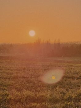 Atmospheric sunset view over a tranquil grassy field with warm golden hues.