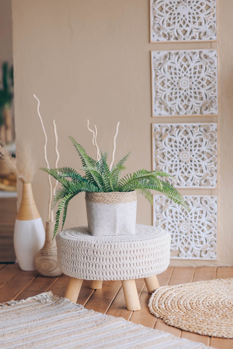 Boho Minimalistic Interior Decor 