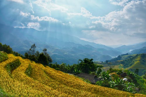 地平線, 天空, 山 的 免费素材图片