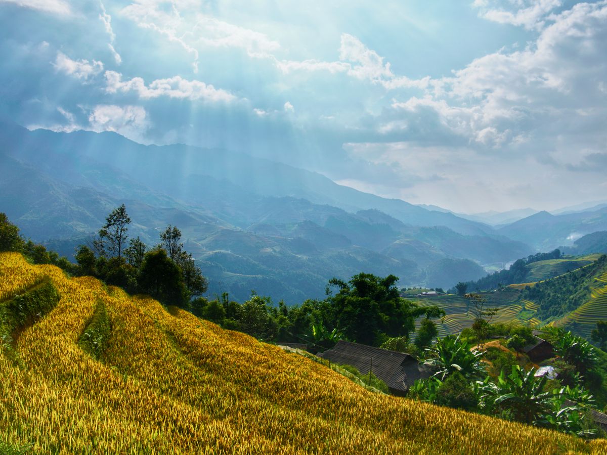 3 Day Veda Evolve Yoga Ayurveda Wellness & Rejuvenation Retreat 3