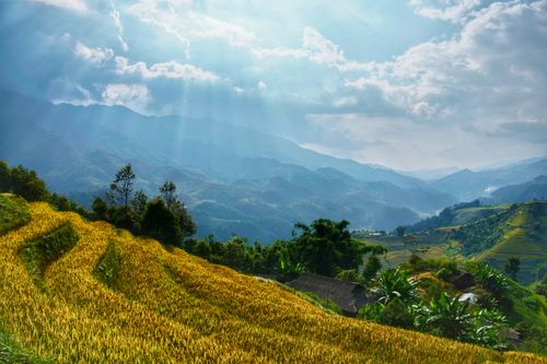 Free Lush rice terraces bask under sunbeams, framed by mountains and vibrant greenery. Stock Photo