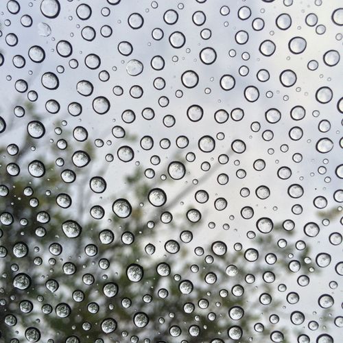 Rain beads on glass over green foliage, by Lindsey Garrett on Pexels