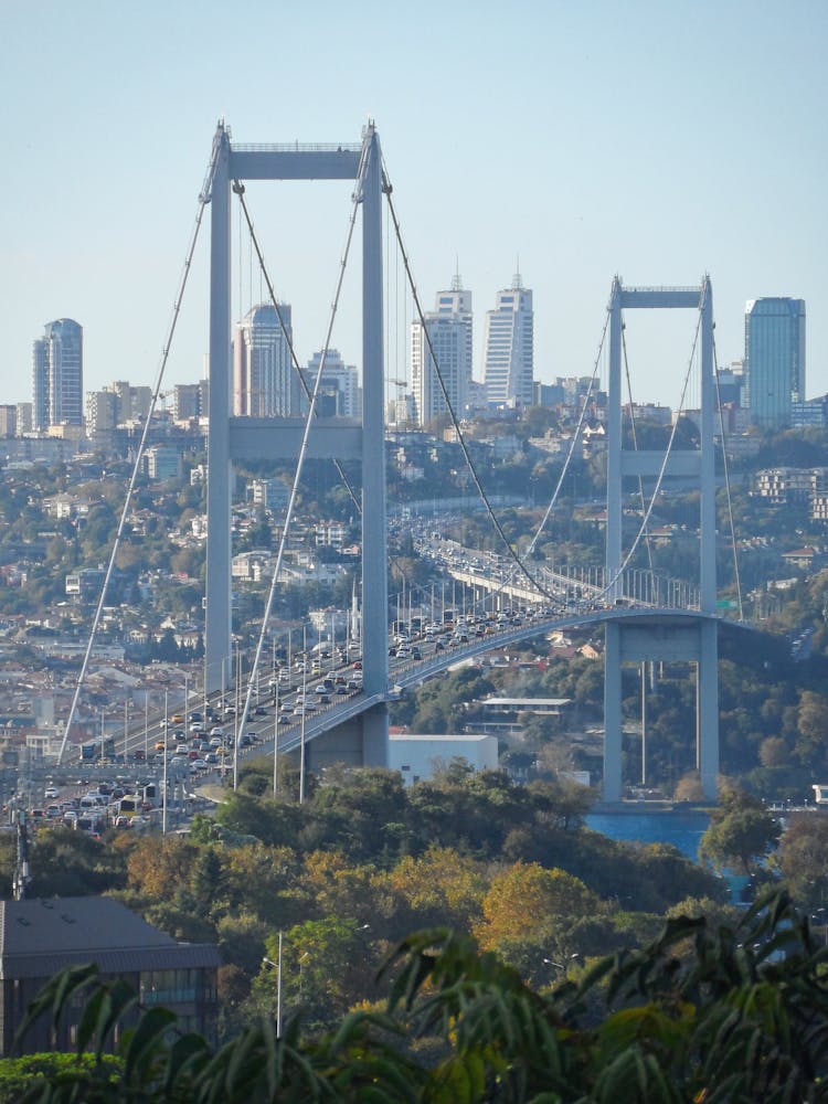 Cars On The Bridge