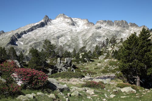 Kostenloses Stock Foto zu felsen, landschaft, landschaftlich