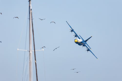 Δωρεάν στοκ φωτογραφιών με blue angels, jet stream, αέρας