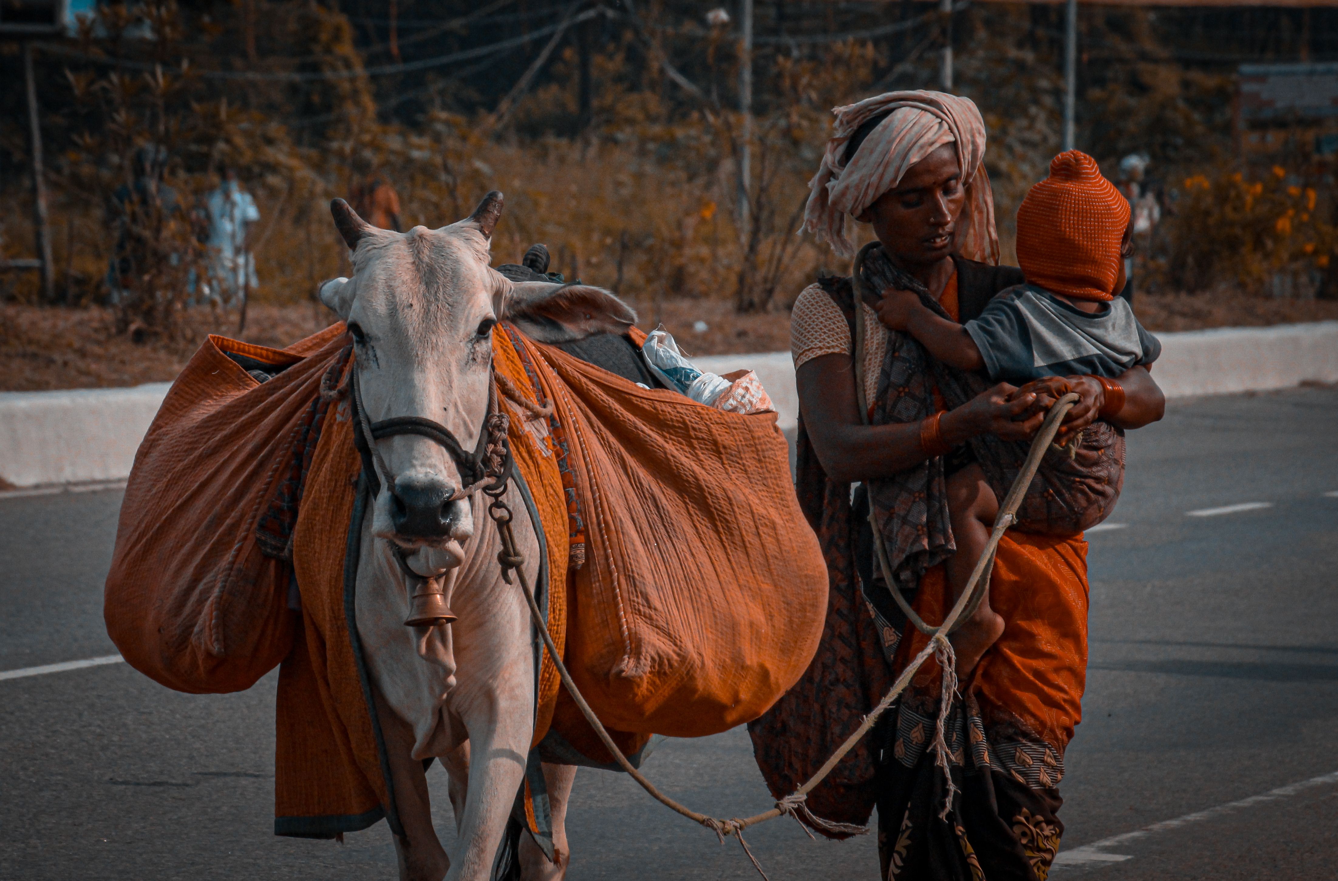 Integration of Ayushman Bharat with health system governance
