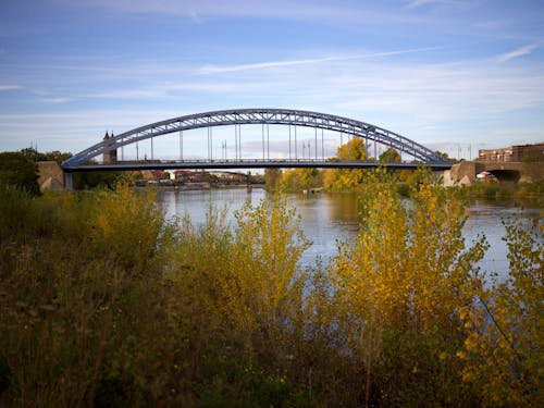Free stock photo of bridge, magdeburg, river Stock Photo