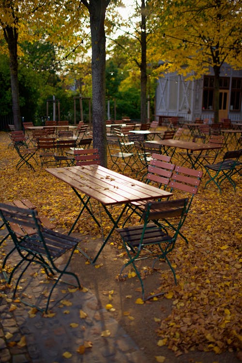 Free stock photo of autumn, chairs, empty Stock Photo