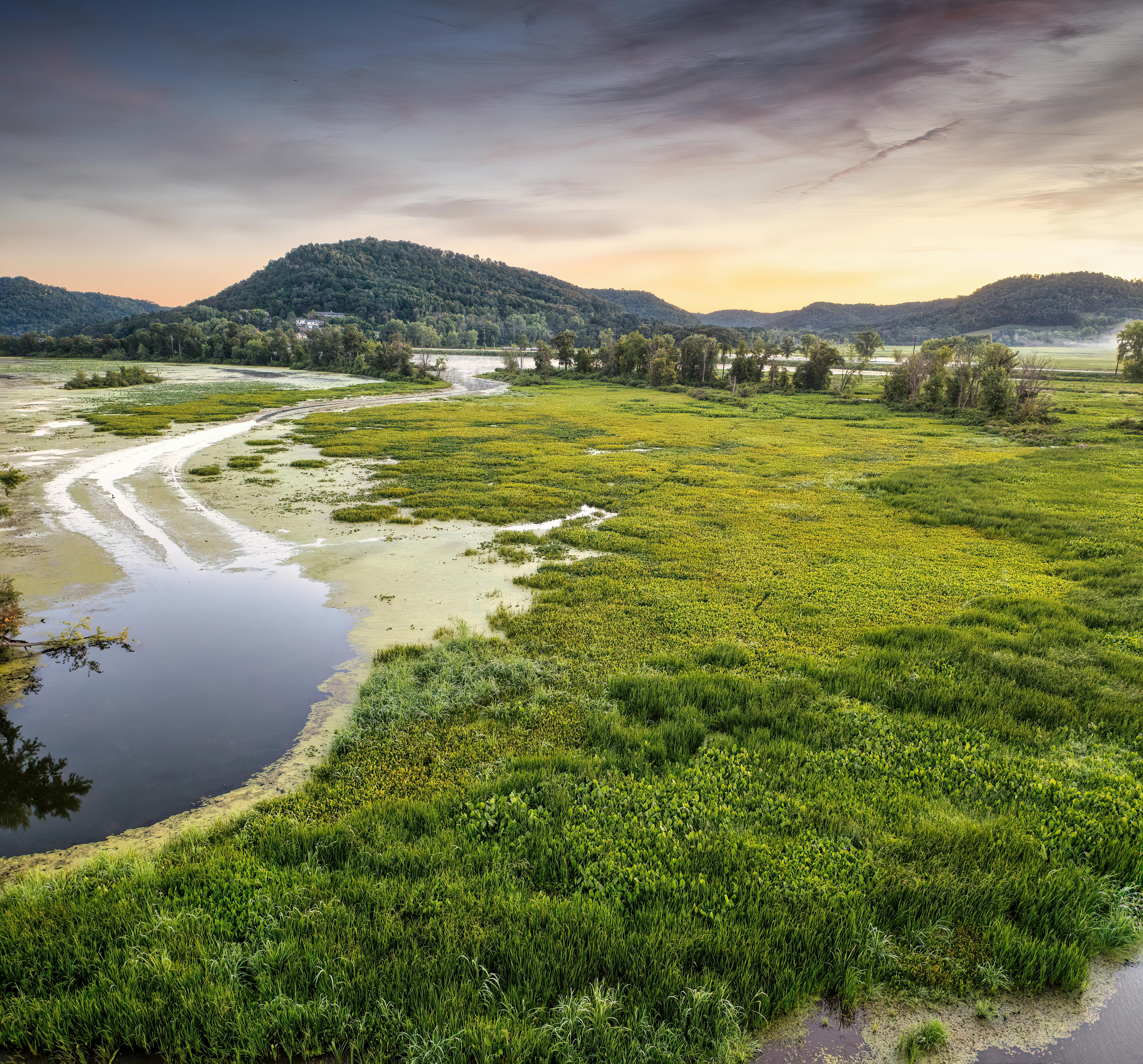 Arkansas Ranked 3rd Best State to Start a Business as Leaders Celebrate Small Businesses — Photo by Tom Fisk on Pexels