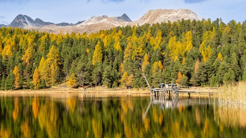 Herfst Reflectie