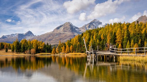 Gratuit Photos gratuites de arbres d'automne, bord de l'eau, ciel Photos