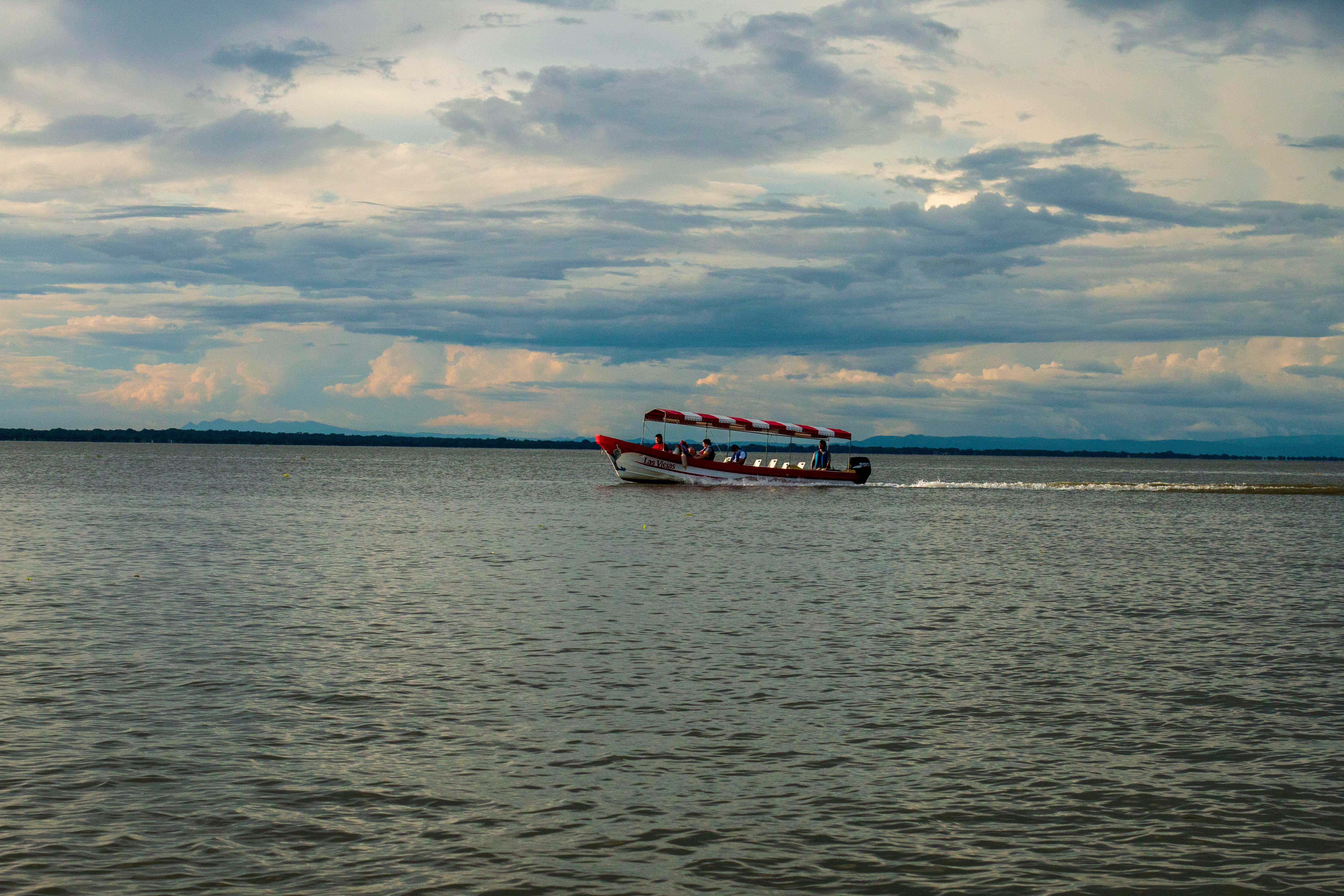 Free boat rides, health camps mark Women’s Day fete — Photo by Alvison Hunter on Pexels