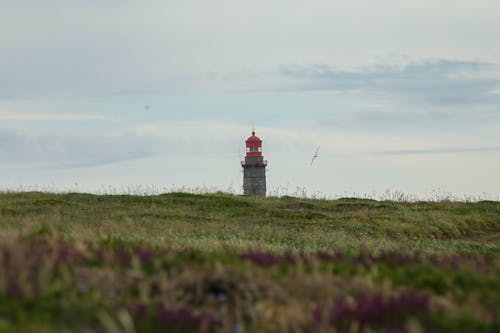 The Goulphar Lighthouse of the Famous Belle Ile en Mer Island in France