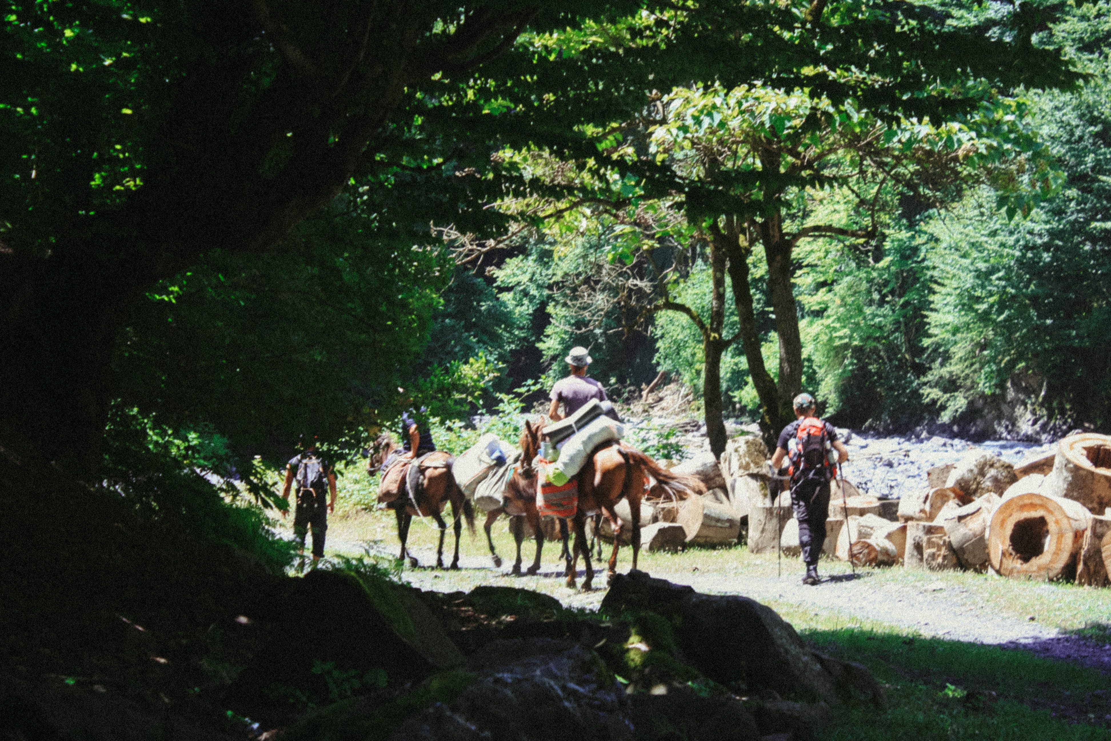 Szlaki trekkingowe wokół Chynalyg