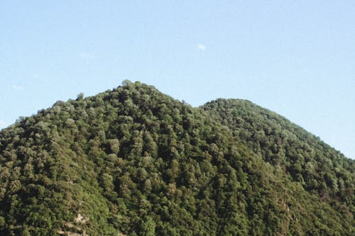 Peaks of Mountains Covered in Trees