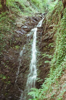 Tranquil waterfall surrounded by lush greenery cascading over mossy rocks in a serene outdoor setting.