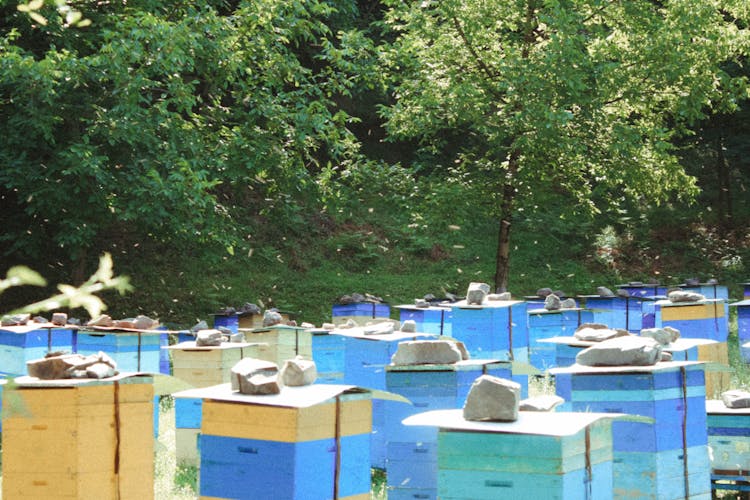 Rocks Lying On Top Of Beehives