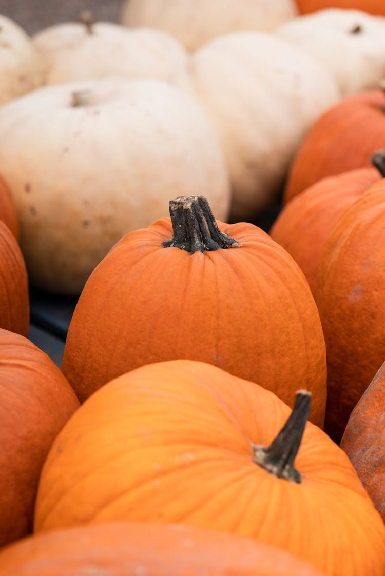 Orange And White Pumpkins