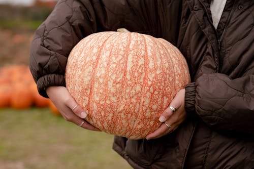 Woman Holding a Pumpkin on a Farm