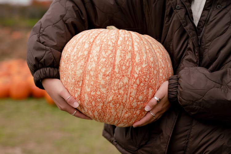 Woman Holding A Pumpkin On A Farm