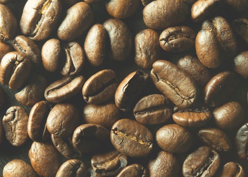 Free stock photo of coffee beans