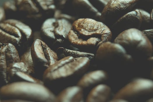 Detailed close-up of aromatic roasted coffee beans with rich texture.