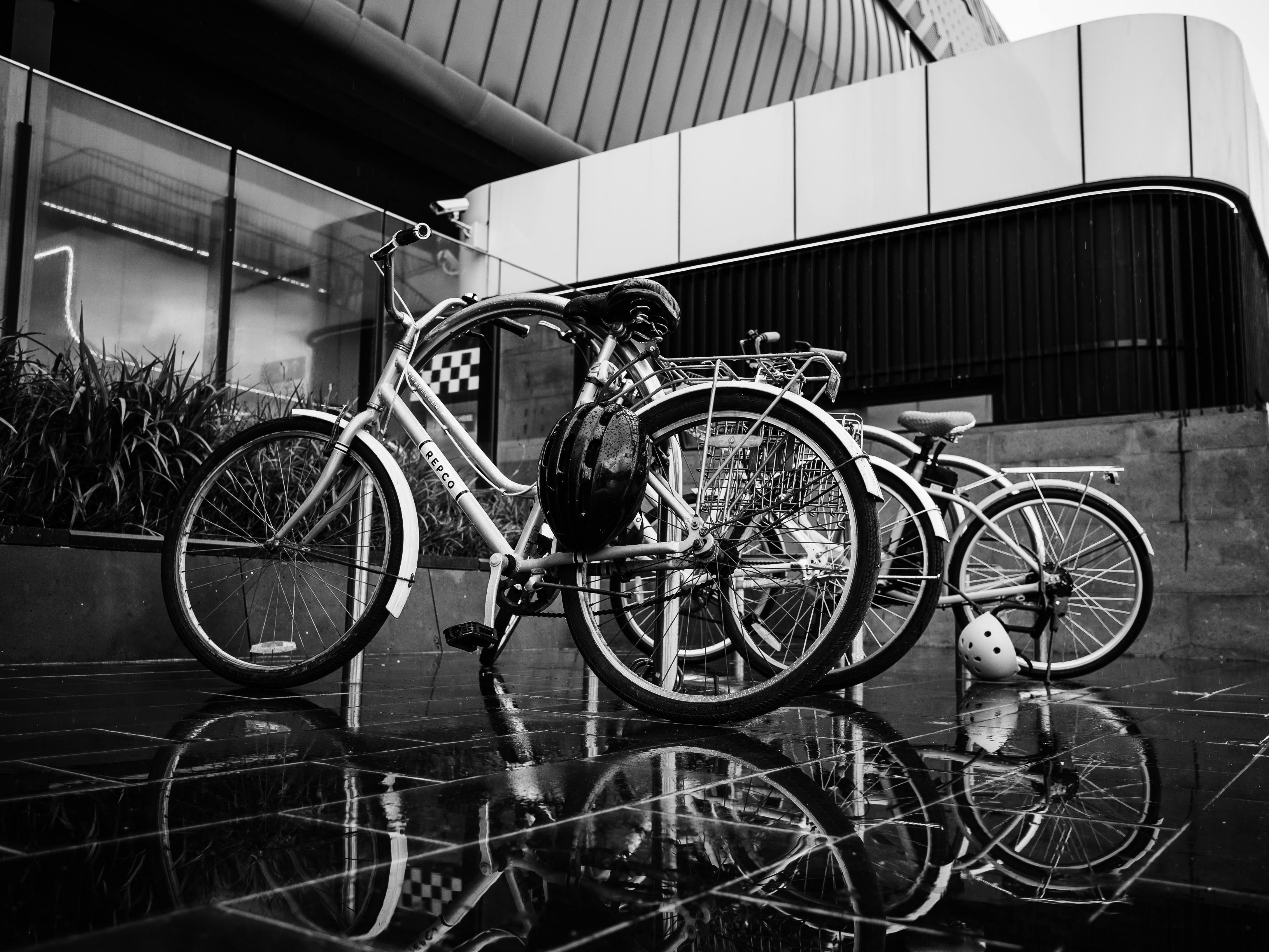 Bicycles at the Bike Stand in Black and White · Free Stock Photo