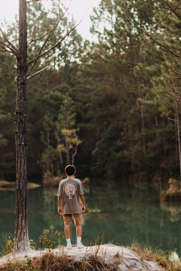 Back View Of A Man Standing By Lake In A Forest