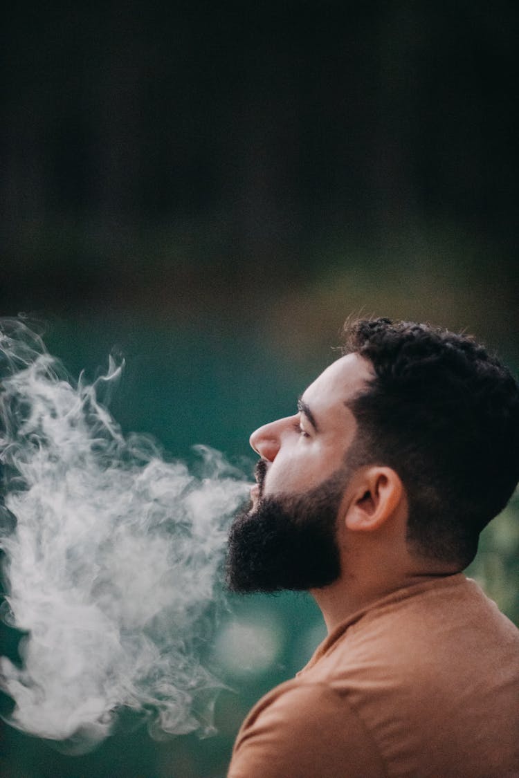 Profile Of A Bearded Man Exhaling Smoke