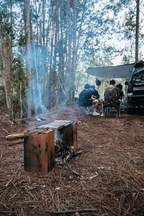 Free Makeshift Barbecue Grill in Forest by Campsite Stock Photo