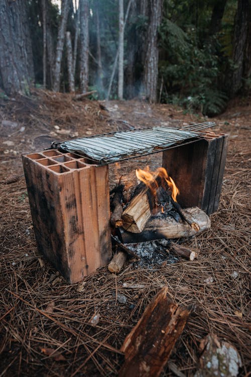 Kostnadsfri bild av brand, grill, lägereld