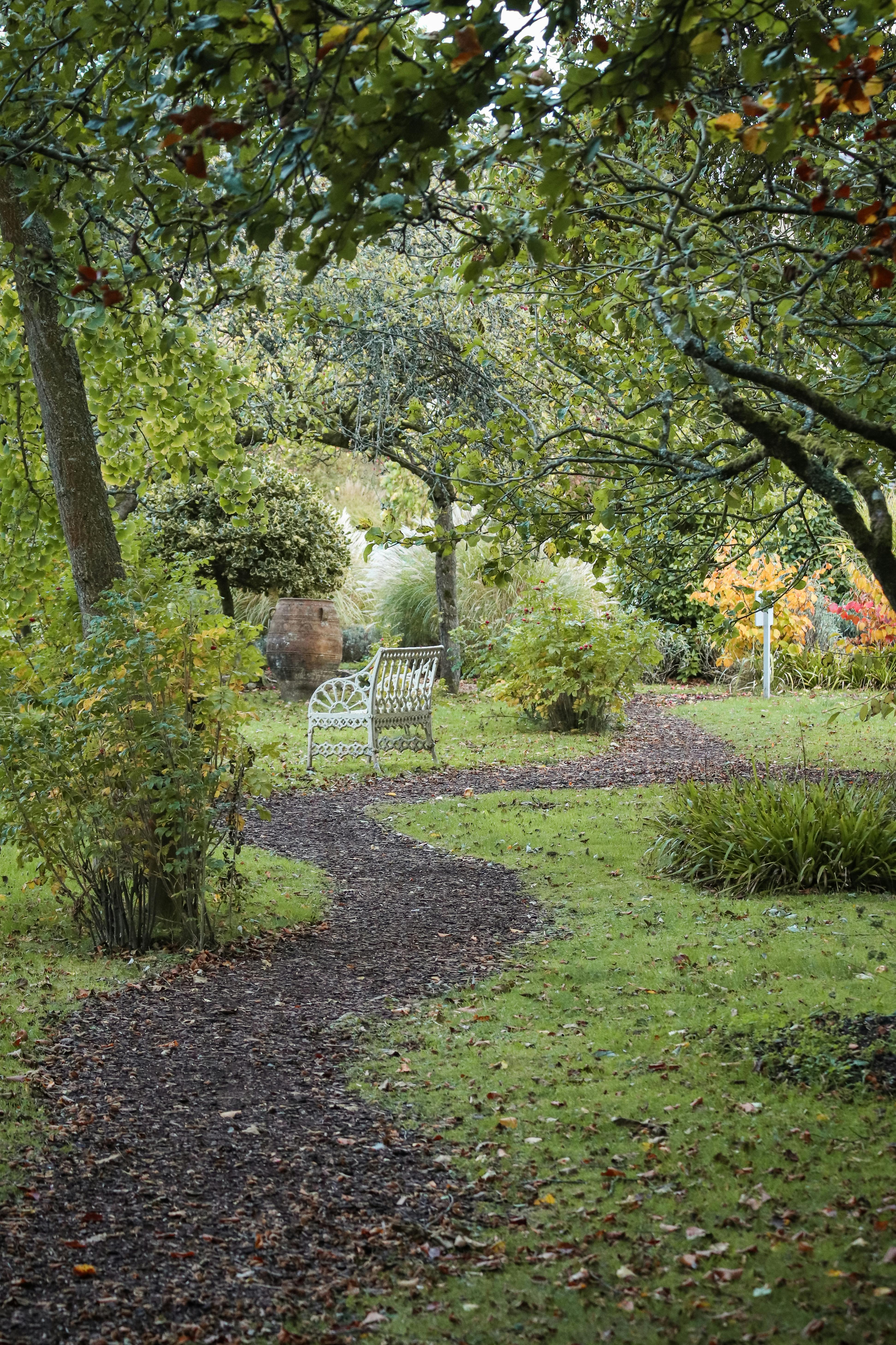 Footpath in a Garden · Free Stock Photo