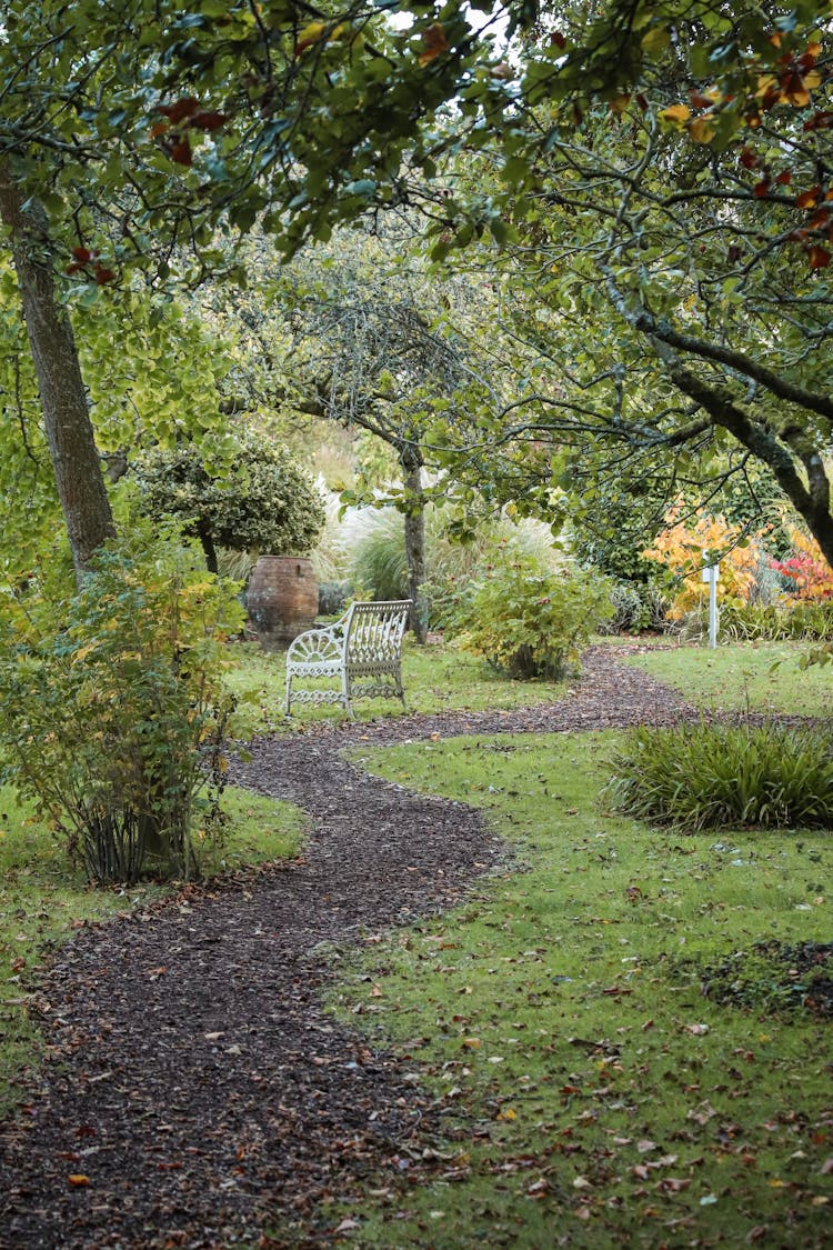 Footpath In A Garden