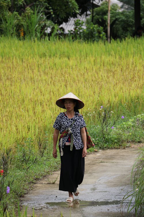 Woman Wearing Conical Hat Walking on Wet Walk Path Near Cropland