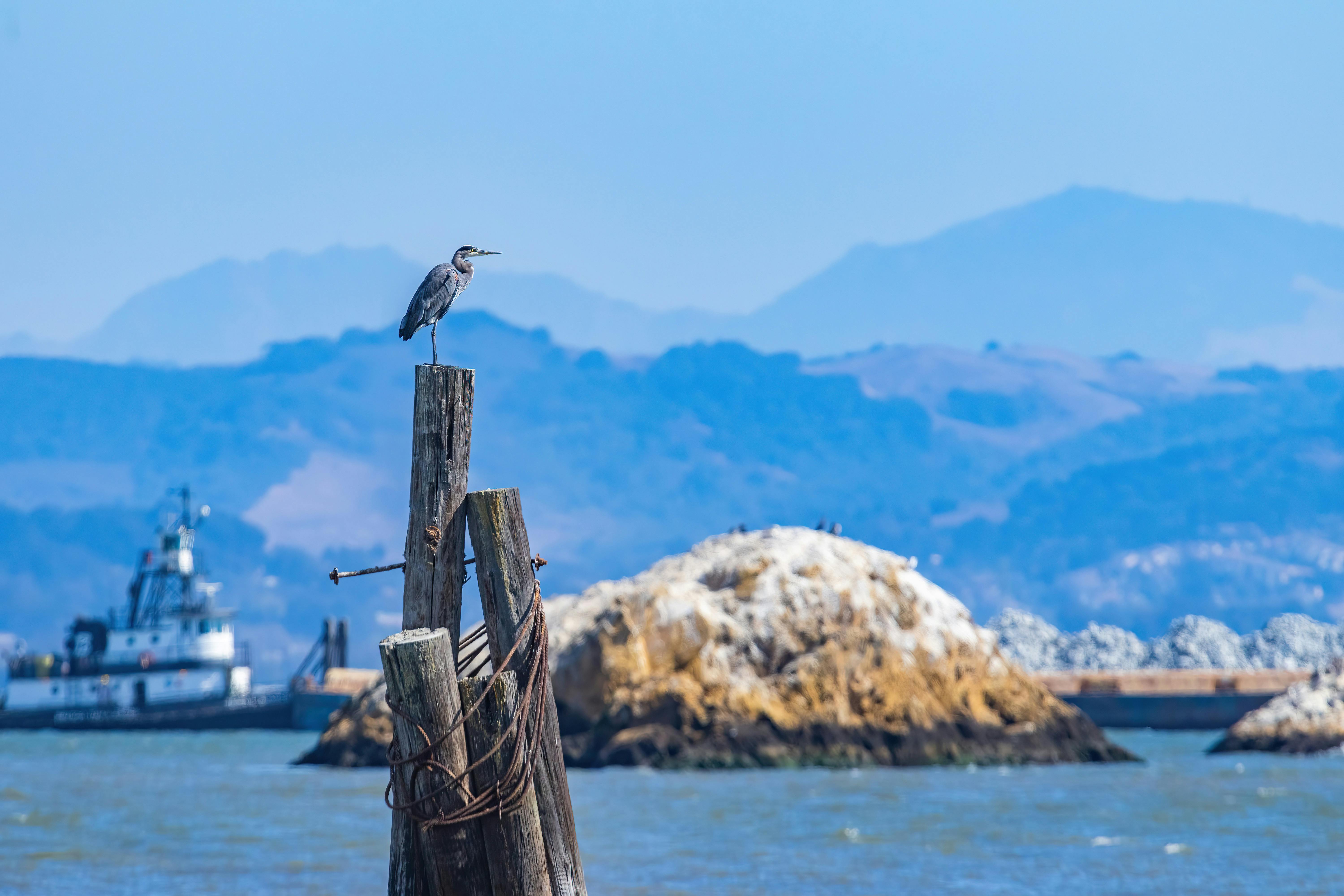 Smart Biofuels Boosting Maritime Efficiency