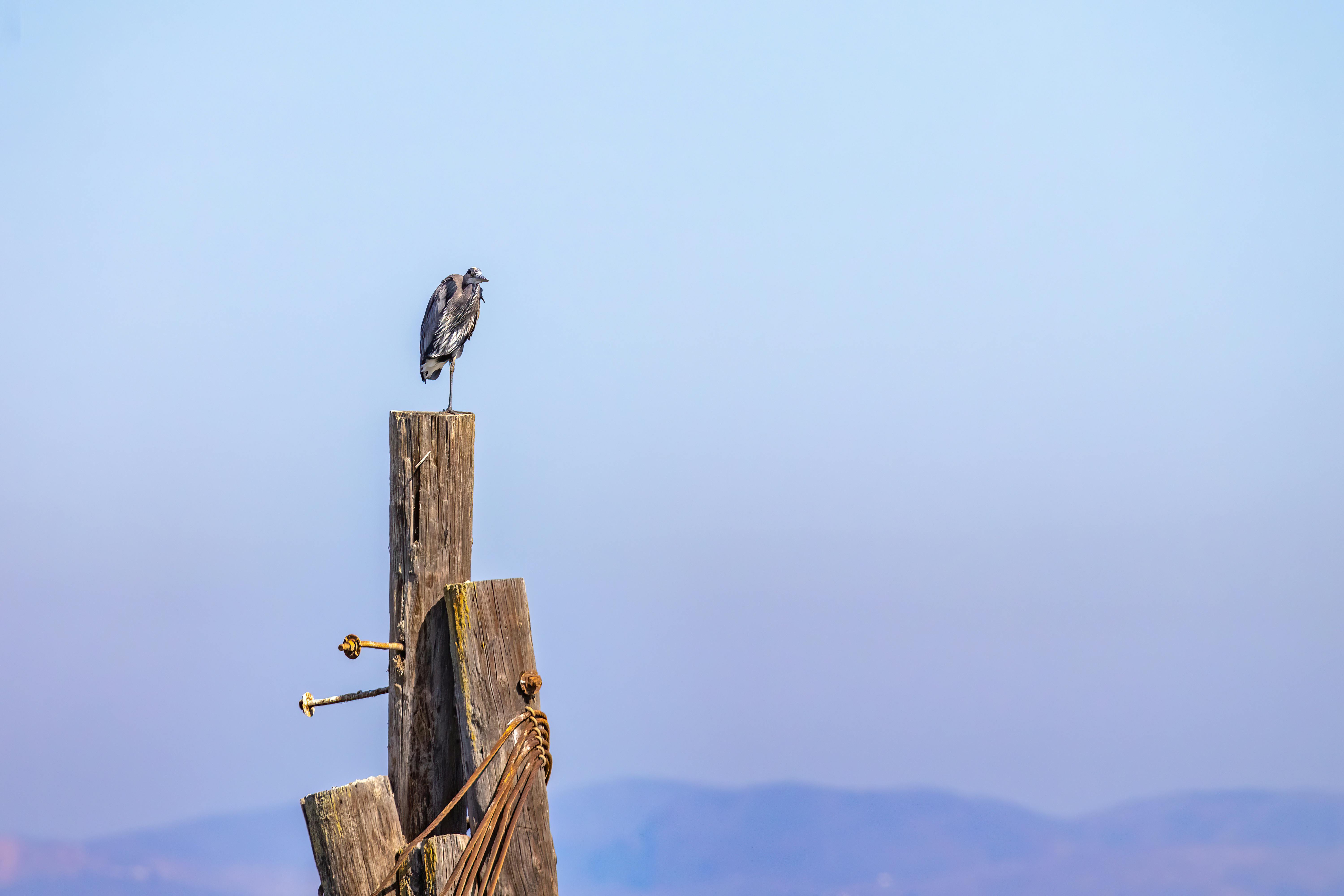 Are pole barns worth the money?