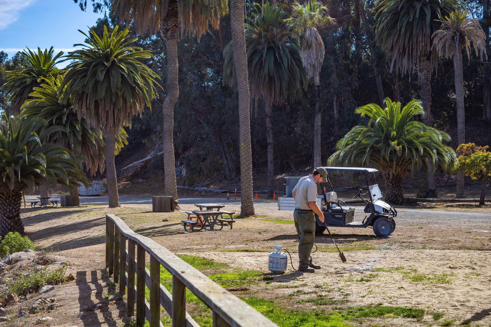 A park maintenance worker cleaning ground near golf cart and palm trees in summer.