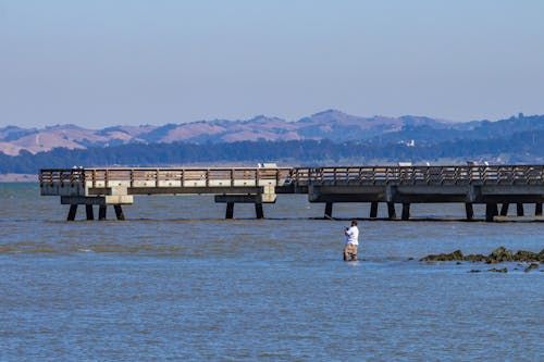 Kostnadsfri bild av bro, brygga, fiskare