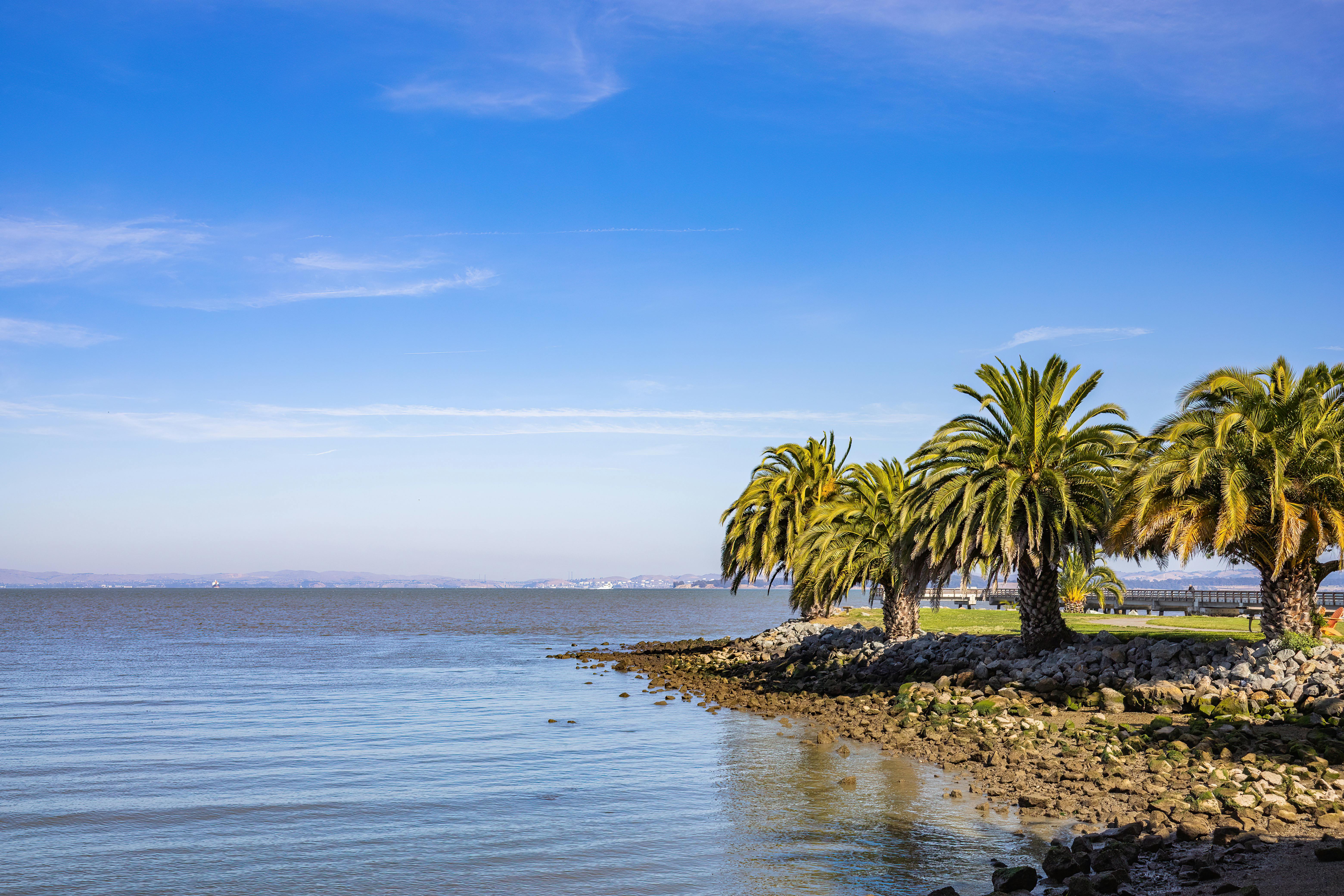 The best real estate brokers in the Bay Area — Photo by Robert So on Pexels