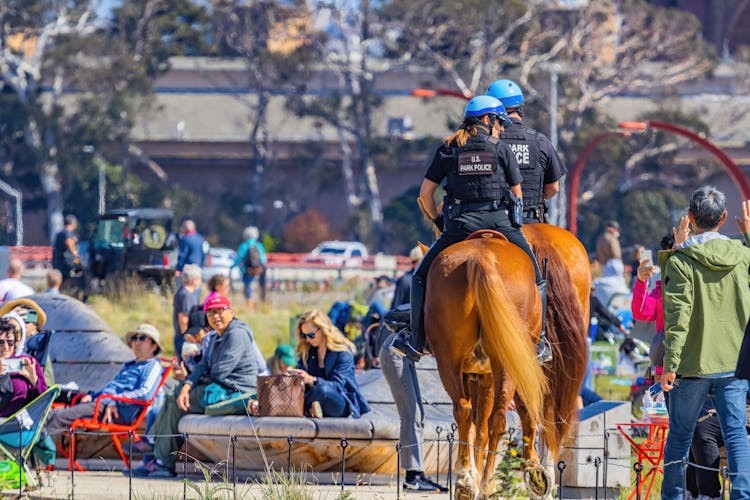 Park Police Riding On Brown Horses While Strolling Around The Place