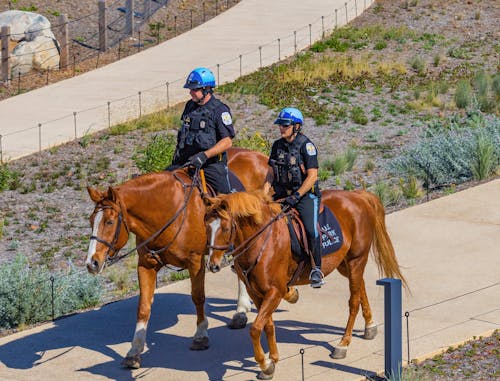 Police Officers Riding on Horses 