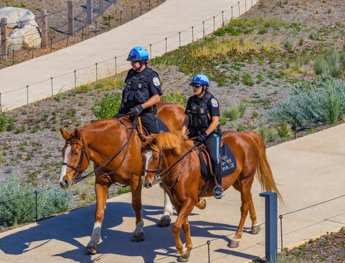 Free Two police officers on horseback patrolling a park pathway on a sunny day. Stock Photo