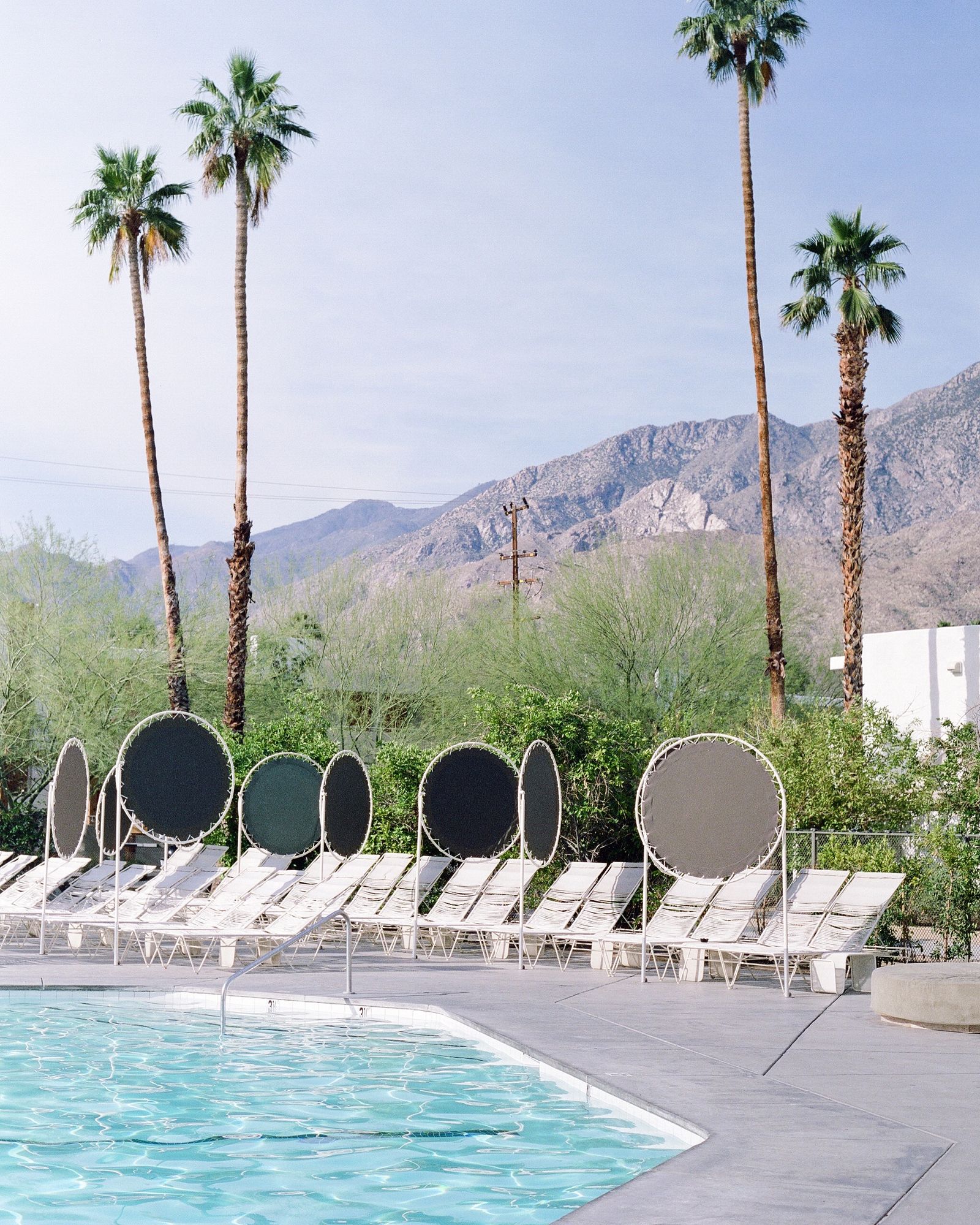 Palm Springs pool with lounge chairs, tall palms, and desert mountains