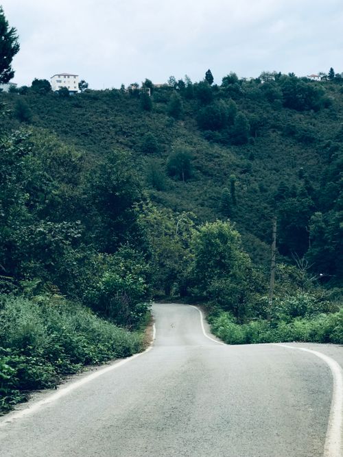 Free A tranquil rural road winding through lush green hills under an overcast sky. Stock Photo
