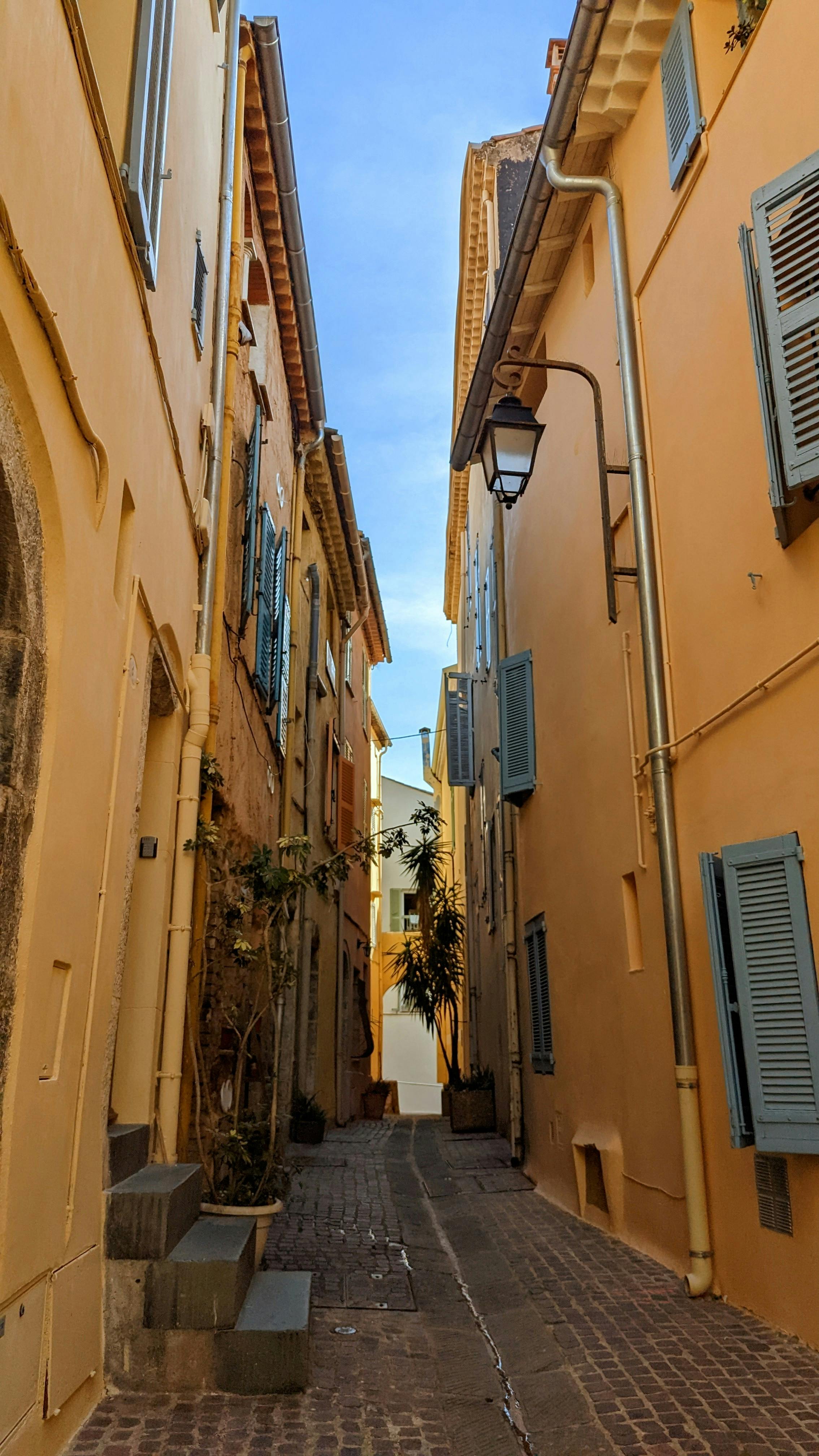 Pink Architectural Building · Free Stock Photo